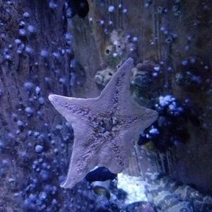 Meet your Posher, Darlene